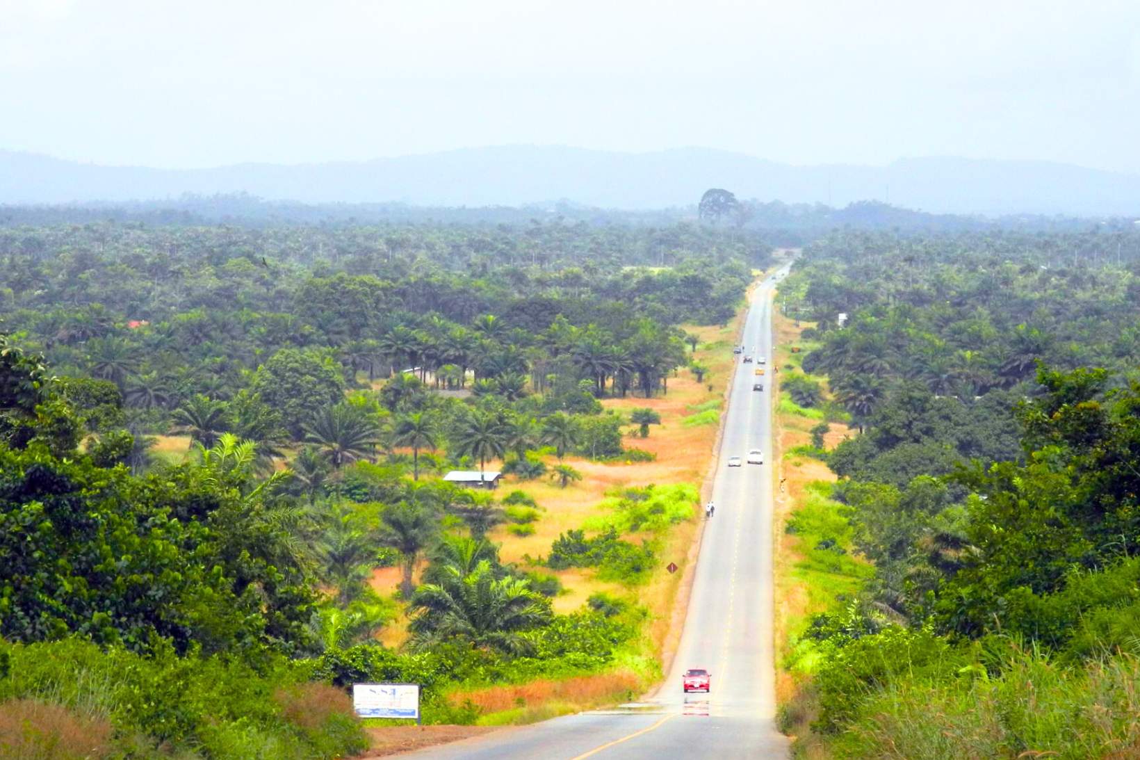 Careysburg Poultry Farm: 5 Urgent Questions After President Boakai’s Visit