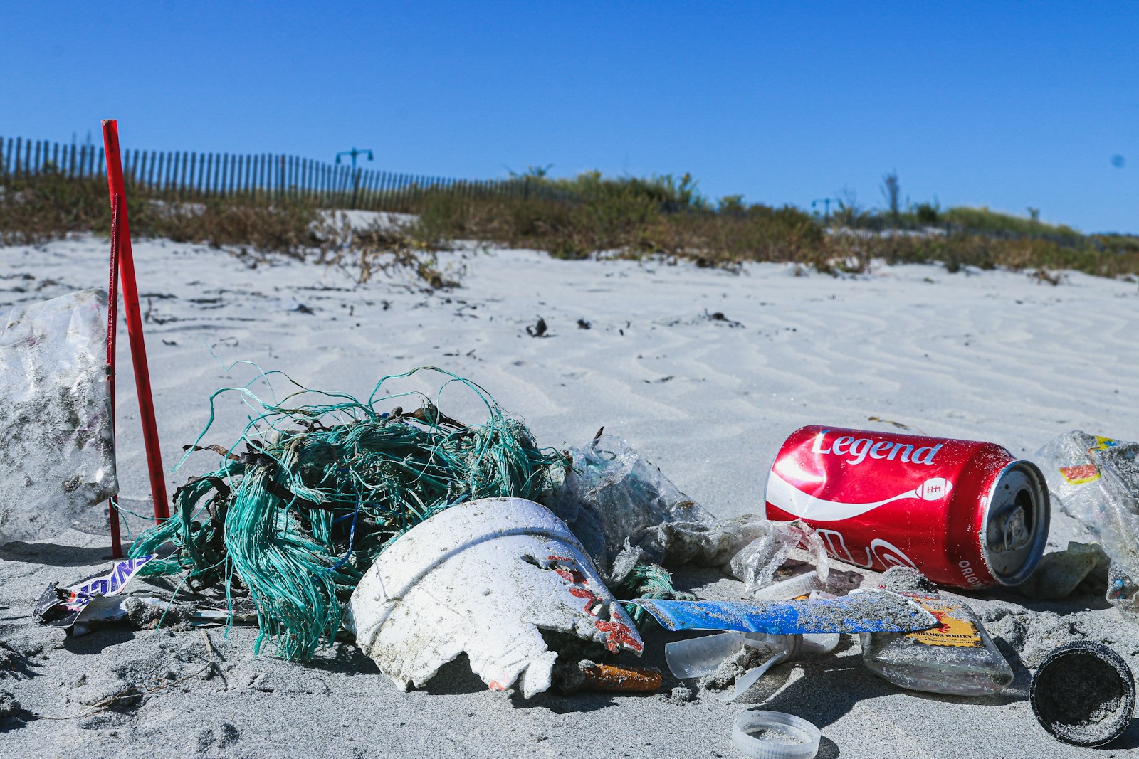 Microplastics South Africa: 5 Toxic Truths Threatening Public Health