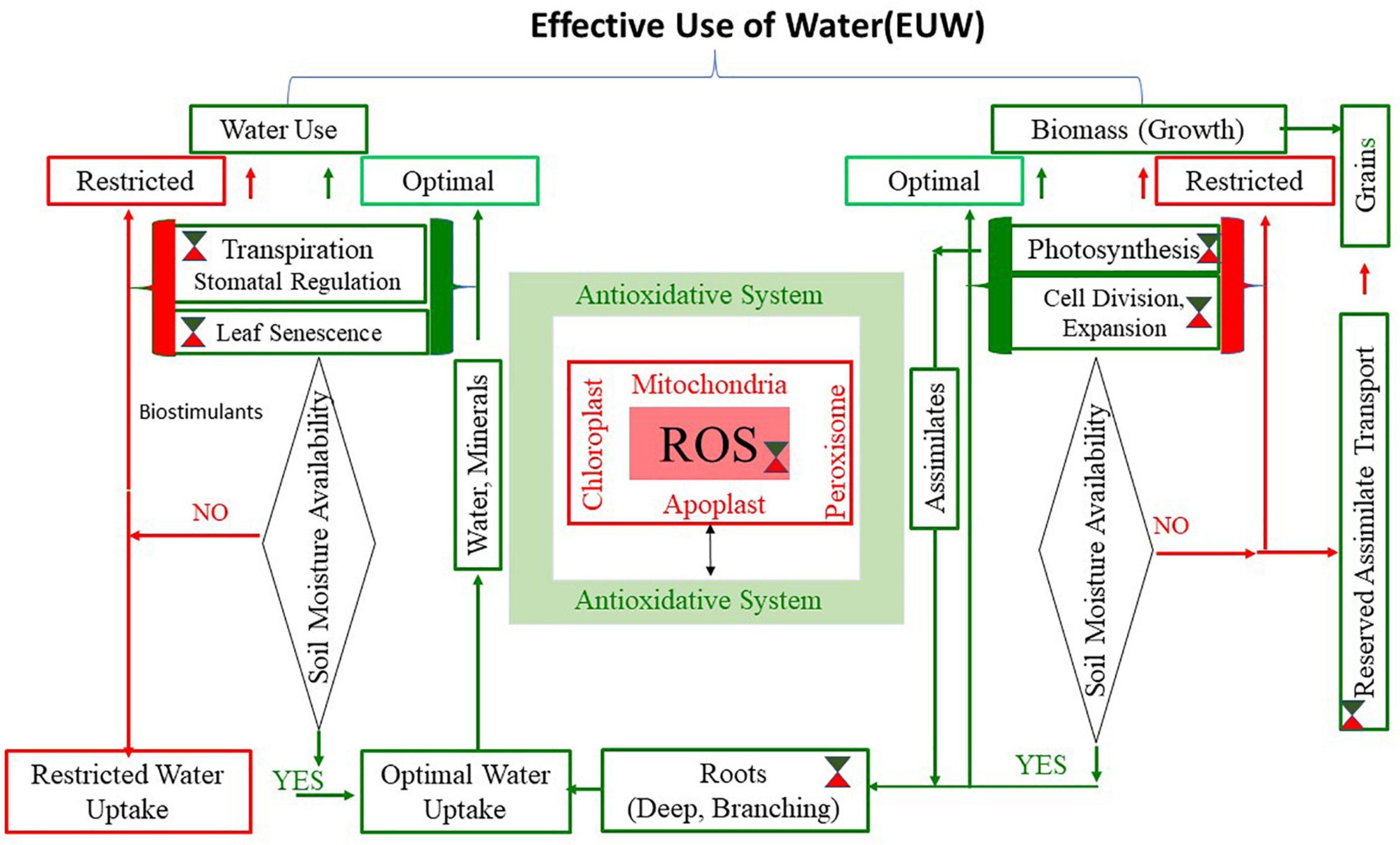 Water Scarcity Solutions: 7 Key Steps in Souss Massa Region