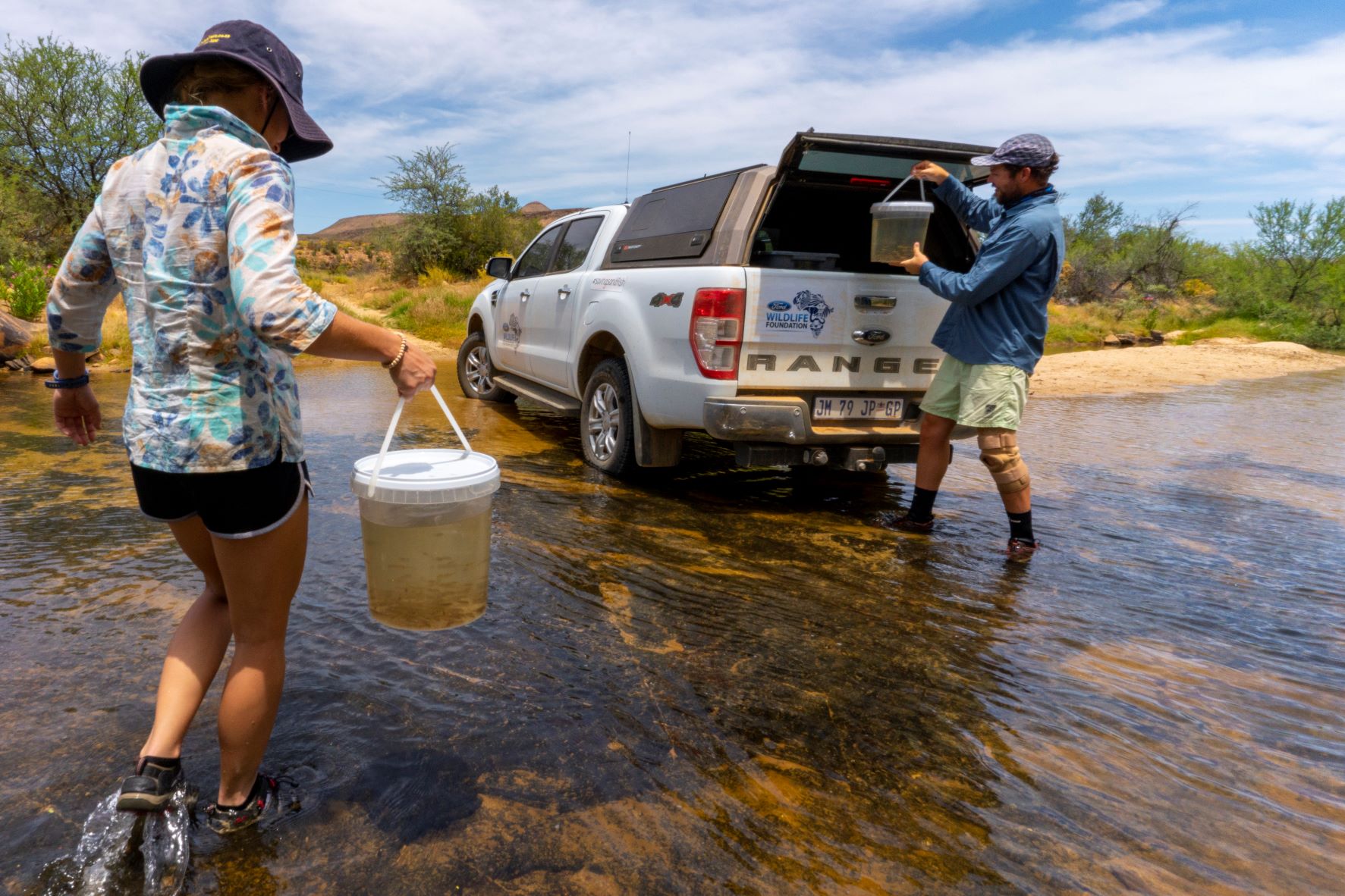 Cape Leopard Conservation