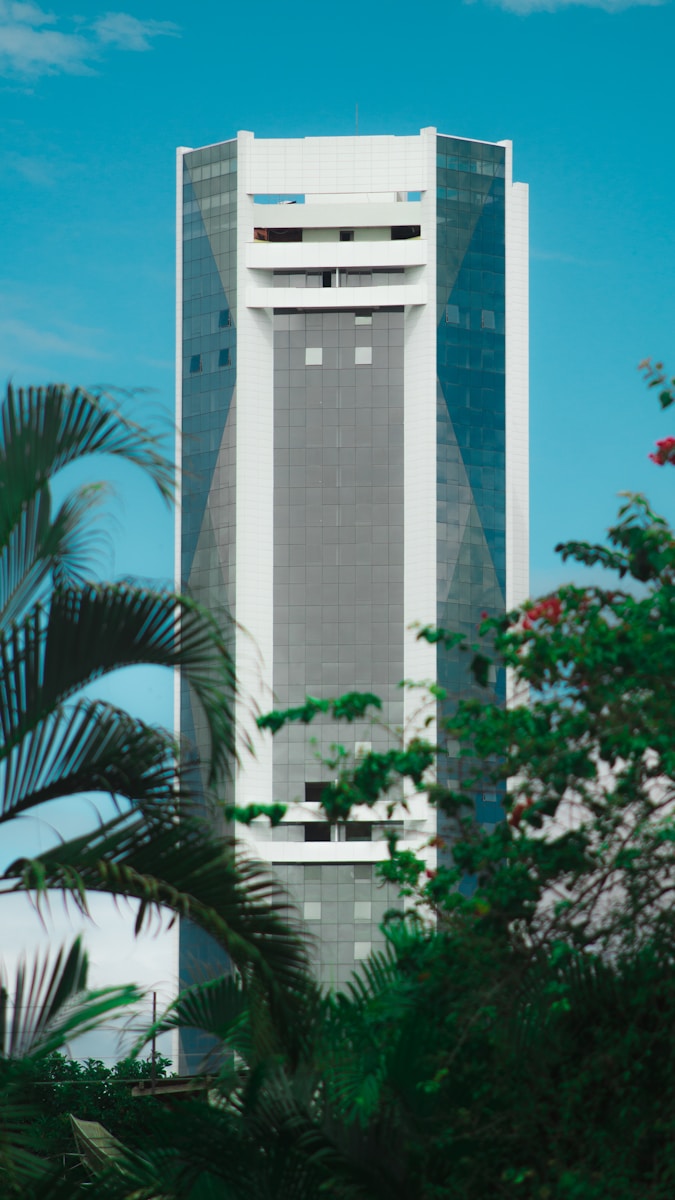 Mauritius Investment Gateway: green palm tree near white concrete building during daytime