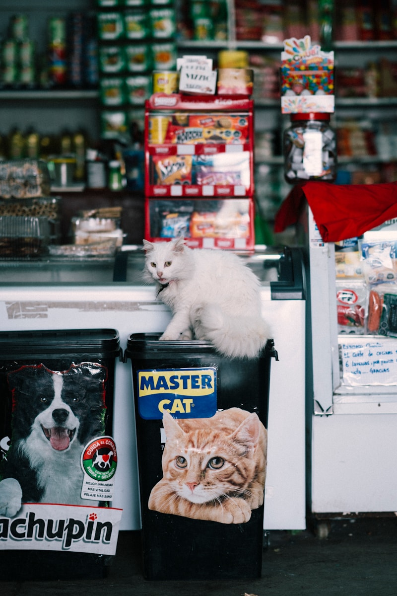 Cat food product page: 8 Essentials to Boost Sales
