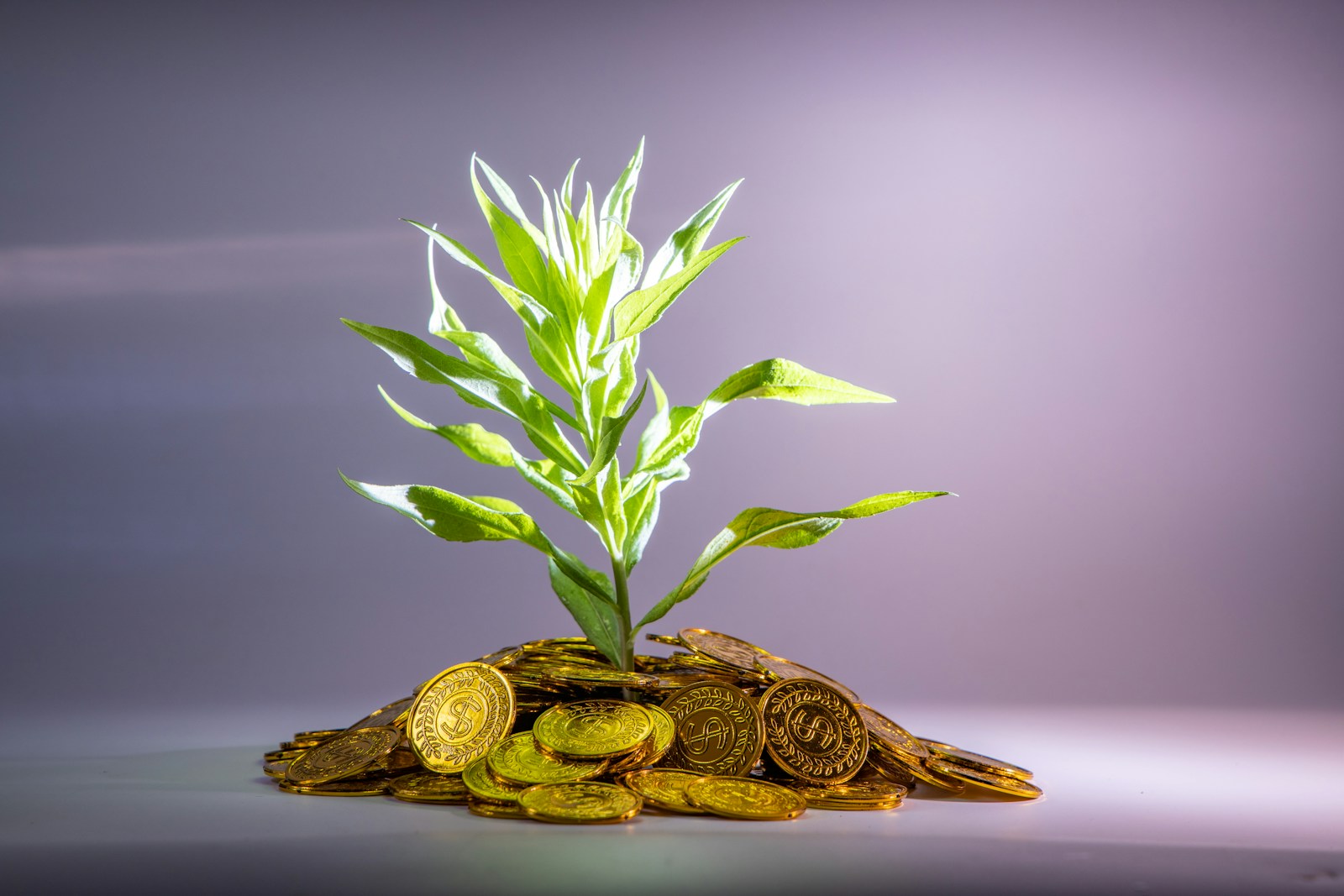 Investing in startups: How to Reduce Your Inheritance Tax