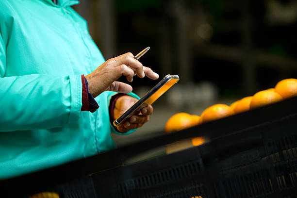 Food Security South Africa