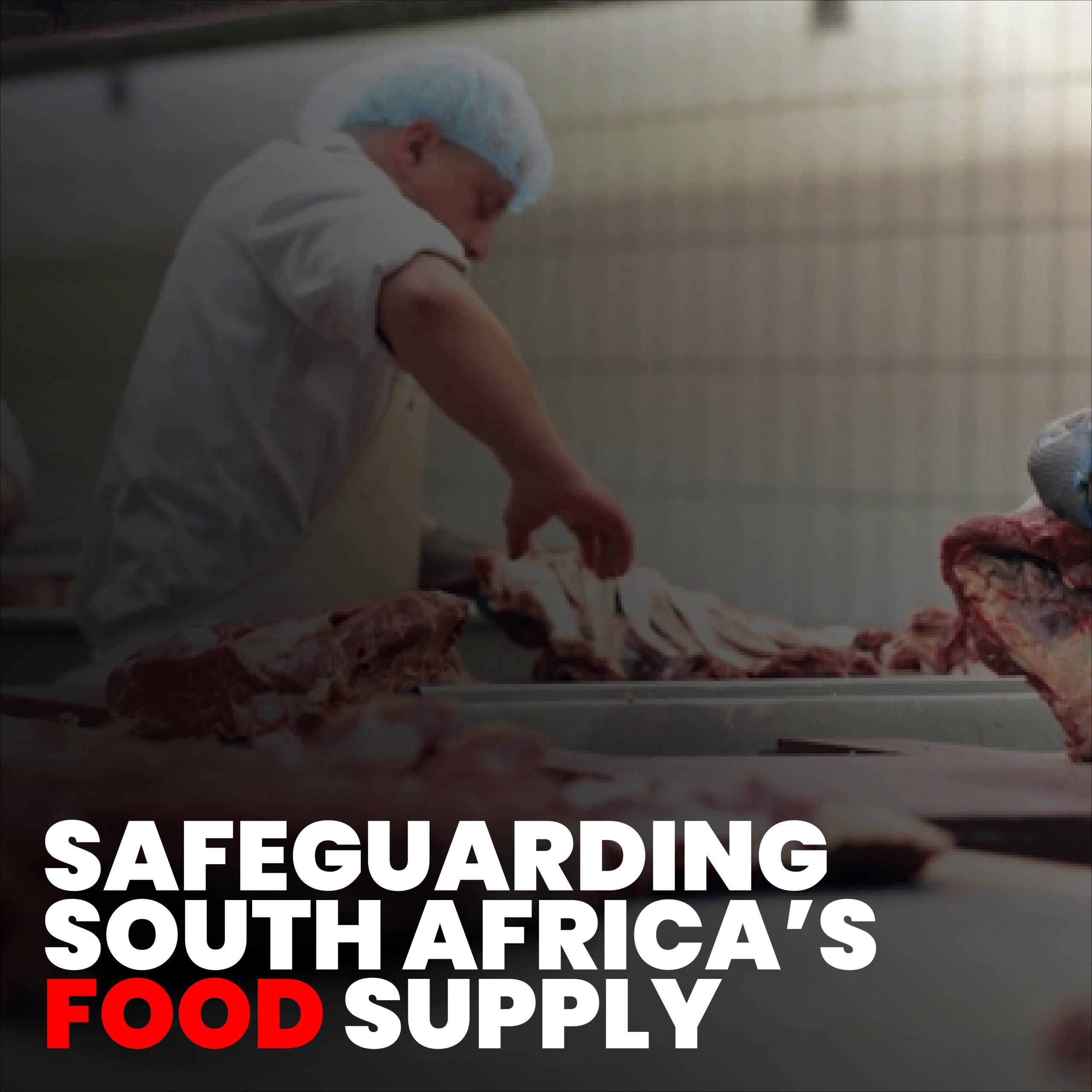Meat Export Ban: 8 Essential Actions Safeguarding South Africa’s Food Future